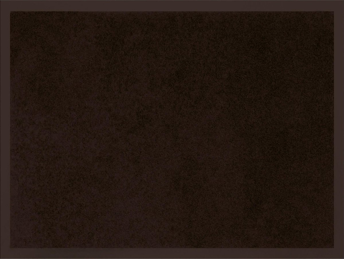 Livetti® Deurmat Doormat Hallmat Rechthoek 60x80cm AntiDust Zwart