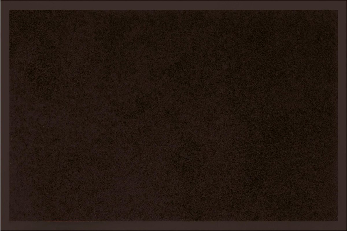 Livetti® Deurmat Doormat Hallmat rechthoek 80x120cm Anti Dust Zwart