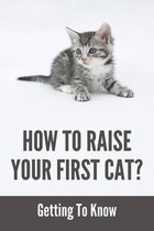 How To Raise Your First Cat?: Getting To Know