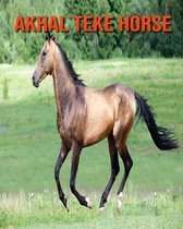 Akhal Teke Horse