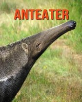 Anteater