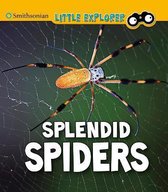 Splendid Spiders