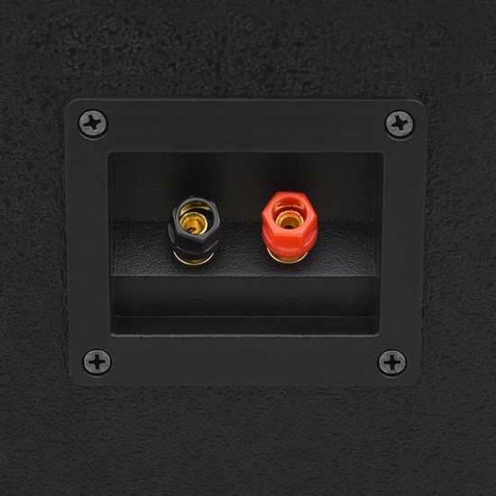 vidaXL Enceintes de scène Hi-Fi 2 pcs Passive Professional 800 W Noir