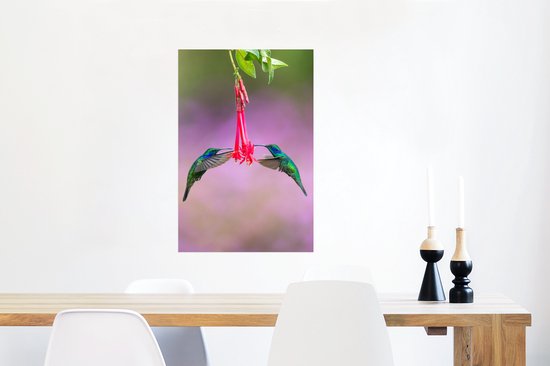 Une belle photo symétrique d'un ensemble de colibris buvant à une fleur au Costa Rica Poster 60x90 cm - Tirage photo sur Poster (décoration murale salon / chambre)