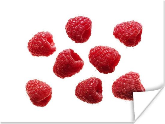 Poster Fruit - Framboos - Wit - 120x90 cm