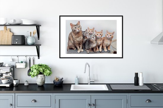 Photo encadrée - Cadre photo chatons curieux noir avec passe partout blanc 60x90 90x60 cm - Affiche encadrée (Décoration murale salon / chambre)