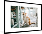 Photo encadrée - Chat à côté de chaises cadre photo noir avec passe partout blanc 60x90 90x60 cm - Affiche encadrée (Décoration murale salon / chambre)