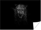 Luipaard op een zwarte achtergrond - zwart-wit poster papier 80x60 cm - Foto print op Poster (wanddecoratie woonkamer / slaapkamer) / Wilde dieren Poster