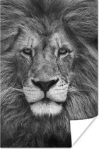 Perzische leeuw op zwarte achtergrond in zwart-wit poster papier 60x90 cm - Foto print op Poster (wanddecoratie woonkamer / slaapkamer) / Close-Up Poster