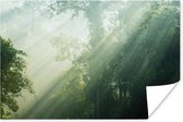 Poster Zonnestralen bij een groen bos in Maleisië - 30x20 cm