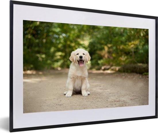 Fotolijst incl. Poster - Labrador Retriever puppy zit op een bospad - 60x40 cm - Posterlijst
