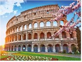 Diamond Painting - Colloseum - 30 x 40 cm