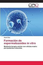 Formación de espermatozoides in vitro