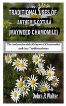 Traditional Uses of Anthemis Cotula (Mayweed Chamomile)