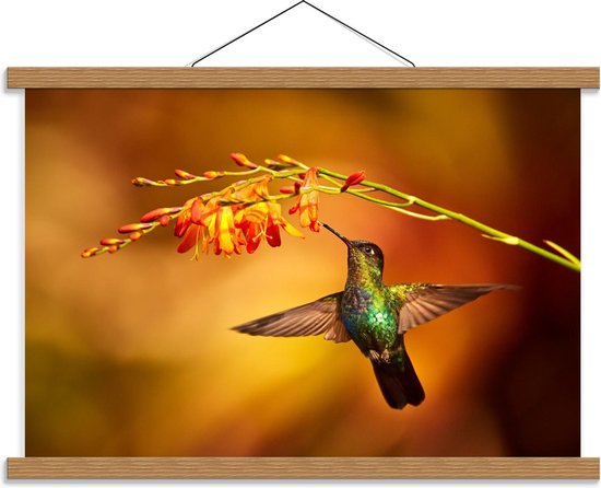 Schoolplaat – Kolibrie bij Oranje Bloem - 60x40cm Foto op Textielposter (Wanddecoratie op Schoolplaat)