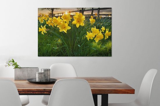 Coucher de soleil derrière les jonquilles dans le champ 90x60 cm - Tirage photo sur toile (Décoration murale salon / chambre) / Peintures Fleurs sur toile
