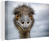 Tête d'oiseau d'émeu 120x80 cm - Tirage photo sur toile (Décoration murale salon / chambre)