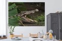 Product afbeelding  18
