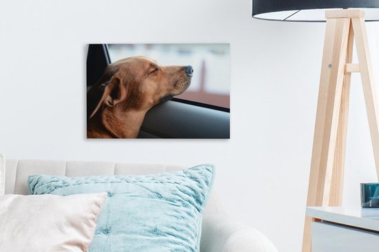 Chien profitant de l'extérieur toile 2cm 30x20 cm - petit - Tirage photo sur toile (Décoration murale salon / chambre) / Peintures sur toile pour Animaux domestiques