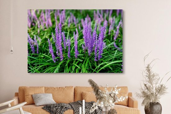 Tableau sur toile Herbe ornementale violette en gros plan - 150x100 cm - Décoration murale