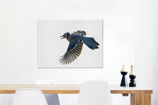 Blue Jay devant toile fond blanc 2cm 80x60 cm - impression photo sur toile peinture Décoration murale salon / chambre à coucher) / Animaux sauvages Peintures Toile