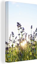 Canvas schilderij 120x180 cm - Wanddecoratie Close-up van lavendel tijdens zonsondergang - Muurdecoratie woonkamer - Slaapkamer decoratie - Kamer accessoires - Schilderijen