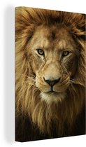 Portrait d'un lion d'Afrique 80x120 cm - Tirage photo sur toile (Décoration murale salon / chambre) / Peintures sur toile animaux sauvages