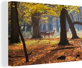 Cerf dans une forêt au Danemark toile 2cm 30x20 cm - petit - Tirage photo sur toile (Décoration murale salon / chambre)