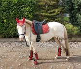 Shine Red - Pony - Complete set - Dekje, 2 flextrainers, oornetje, springschoenen - Ruiter - Paardrijden - Sport - Dressuur