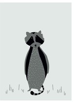 TRIXIE | Baby Poster | Mr. Raccoon | 30 x 40 cm | Babykamer