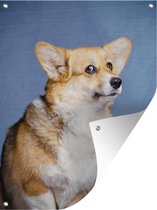 Tuinposter - Tuindoek - Tuinposters buiten - Verdrietige corgi - 90x120 cm - Tuin