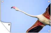Tuinposter - Tuindoek - Tuinposters buiten - Onderaanzicht van een vliegende flamingo - 120x80 cm - Tuin