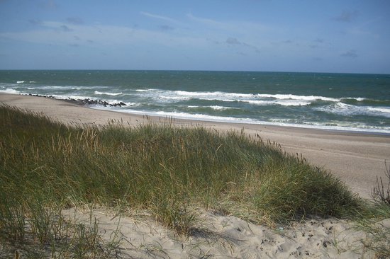Tuinposter - Zee - Strand in wit / beige / grijs / blauw   - cm.