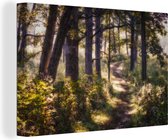 Une peinture à l'huile d'un chemin dans une forêt sur toile 60x40 cm - Tirage photo sur toile (Décoration murale salon / chambre)