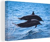 Canvas Schilderij Dolfijn - Zee - Dier - 30x20 cm - Wanddecoratie
