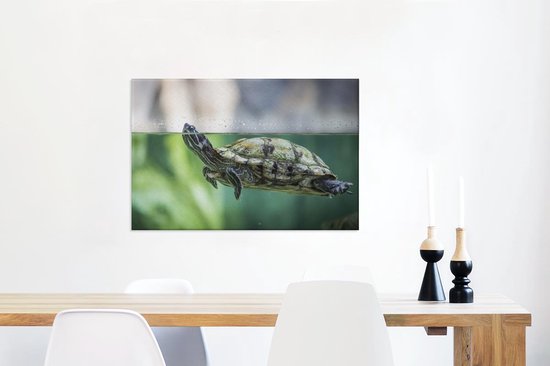 Photo en gros plan de toile de tortue 60x40 cm - Tirage photo sur toile peinture (Décoration murale salon / chambre) / Peintures sur toile Animaux