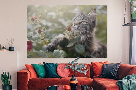 Canvas schilderij 150x100 cm - Wanddecoratie Maine Coon Cat onder de rode rozen in de tuin - Muurdecoratie woonkamer - Slaapkamer decoratie - Kamer accessoires - Schilderijen