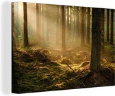 Le soleil d'automne brille dans une forêt sombre Toile 140x90 cm - Tirage photo sur toile (Décoration murale salon / chambre)