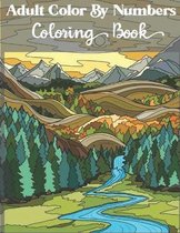 Adult Color by numbers coloring book