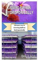 Growing Saffron Hydroponically