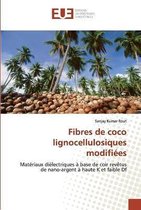 Fibres de coco lignocellulosiques modifiées