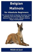 Belgian Malinois for Absolute Beginners