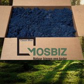 MosBiz Rendiermos Classic blue 2 laags (2,6 kilo) voor decoraties, schilderijen en mos wanden