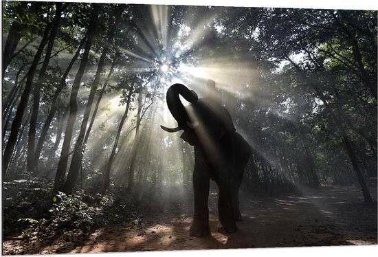 Dibond - Olifant in de Bossen - 120x80cm Foto op Aluminium (Wanddecoratie van metaal)