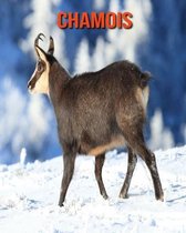 Chamois