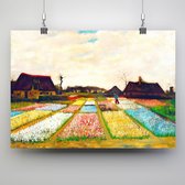 Poster Champs de bulbes - Vincent van Gogh