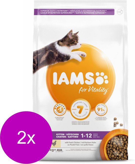 iams kitten & junior