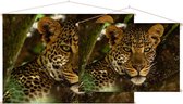 Panter in boom,  - Foto op Textielposter - 90 x 60 cm
