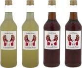 de Limonade Meisjes Mix van Limonade Siropen - Gember - Kaneel - 4x Fles 500 ml