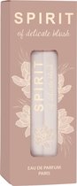 Spirit of Eau de Parfum Delicate Blush, 30 ml